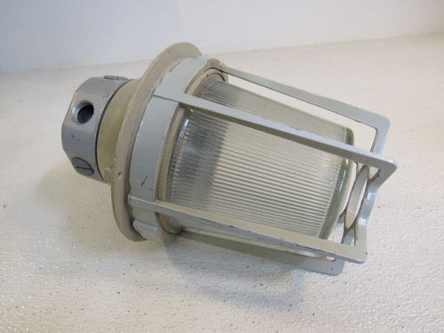 Appleton-Caged-Outdoor-Light-Fixture-600W-11in-x-PS-30-2790-Metal-Glass-440 1