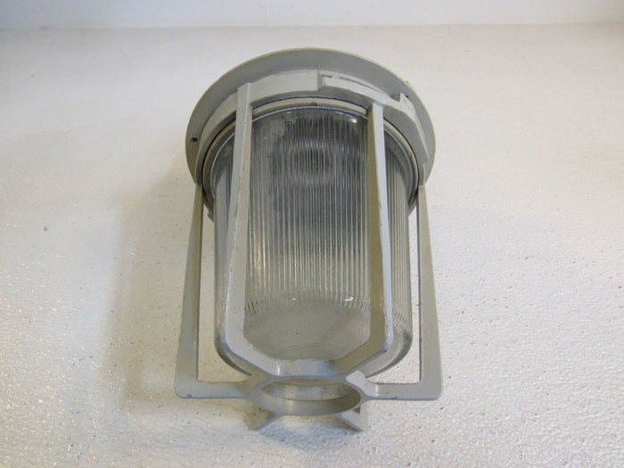 Appleton-Caged-Outdoor-Light-Fixture-600W-11in-x-PS-30-2790-Metal-Glass-440 3