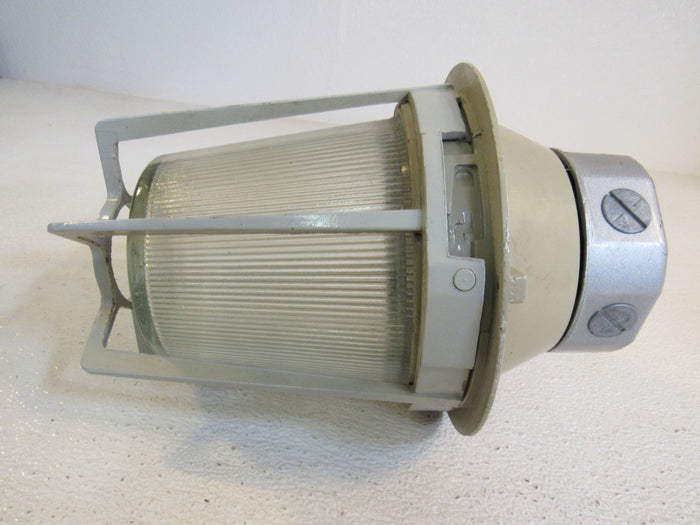 Appleton-Caged-Outdoor-Light-Fixture-600W-11in-x-PS-30-2790-Metal-Glass-440 5