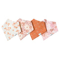 Copper Pearl Baby Bandana Bibs Set - Rue
