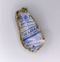 NolaCajun French Script Giraud Decorative Oyster Shell Louisiana Creole Decor New Orleans
