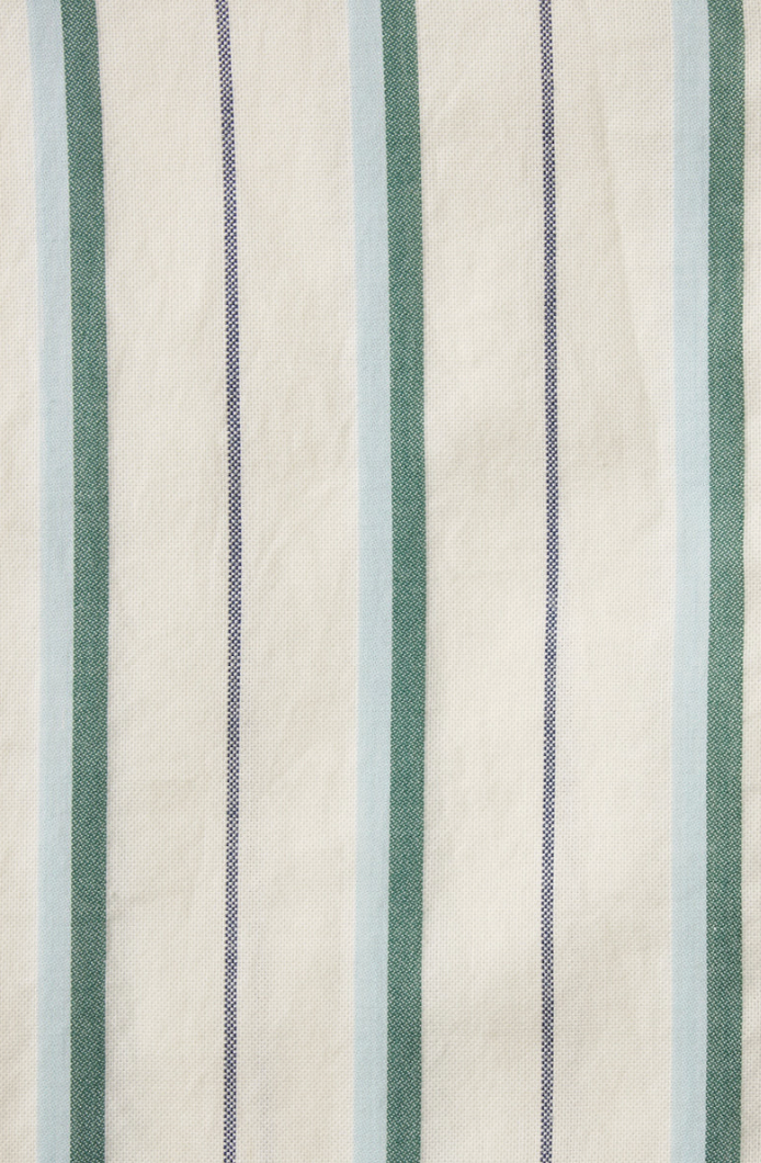 NESSA SHIRT IN VERDE STRIPES