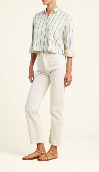 NESSA SHIRT IN VERDE STRIPES