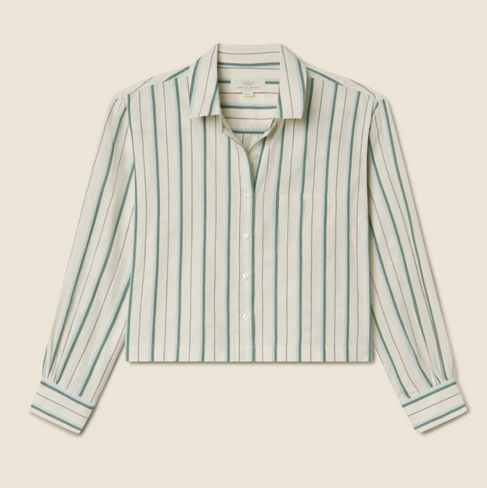 NESSA SHIRT IN VERDE STRIPES