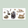 Penguin Random House Our Big Book of Animals (Board Book)