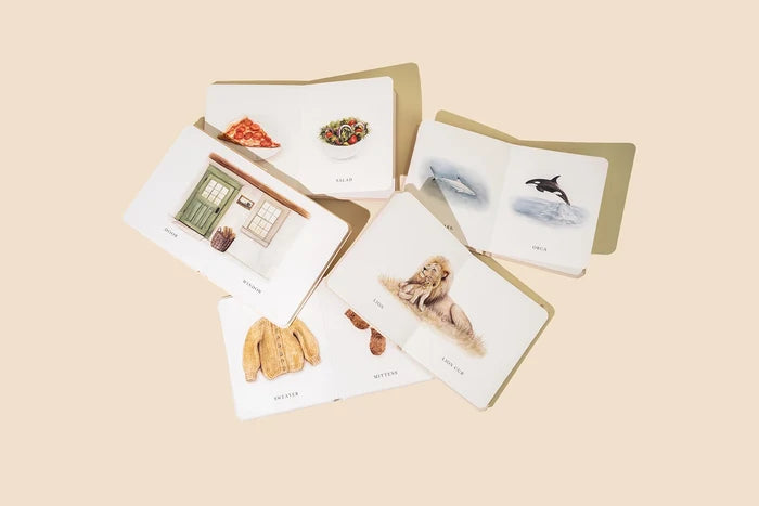 Penguin Random House Our Little Library Vol. 2 (5 Board Book Box Set)