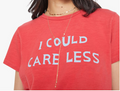 THE SINFUL IN I COULD CARE LESS