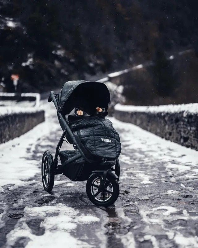 Thule Spring 2 Bassinet Adapters