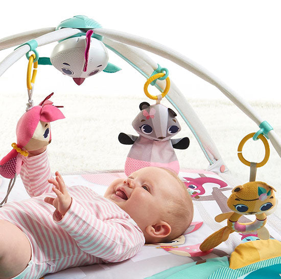 Tiny Love Gymini Deluxe Activity Play Mat