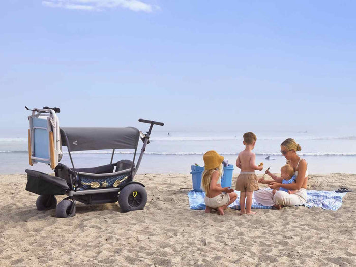 Veer Cruiser Beach Wheel Kit