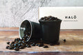 Whole Bean Coffee Collection- 1KG