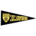 X-Men Xavier - Pin *LAST CHANCE*